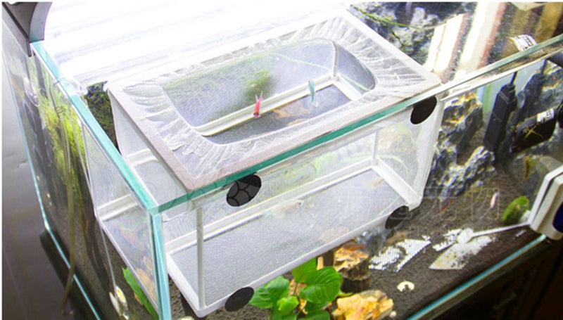 XMHF Nylon Mesh Fish Fry Hatchery Breeder Box Separation Net by XMHF - Image 5